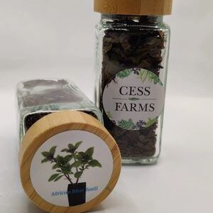 African Blue Basil