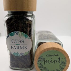 Chocolate Mint