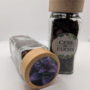 Purple Basil